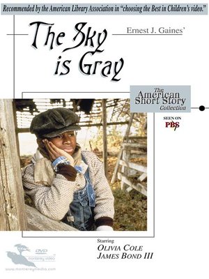cover image of The Sky is Gray
